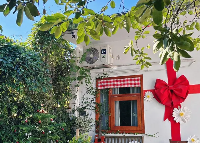 1Home